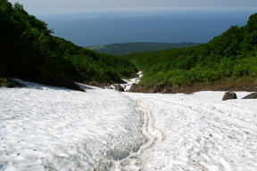大沢雪渓