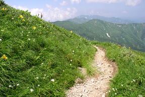 登山道