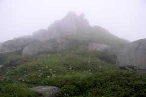 松虫岩