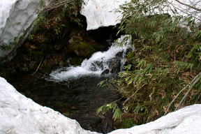 湧き水