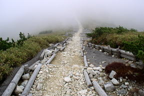 登山道