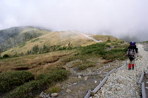 登山道