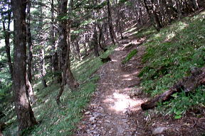 登山道