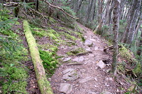 登山道