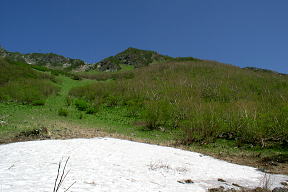 雪田