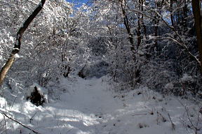 登山道