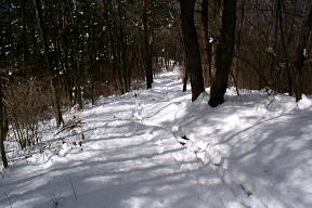 登山道