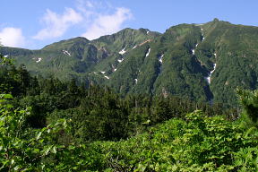 富良野岳