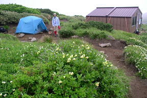 美瑛富士避難小屋のテント場