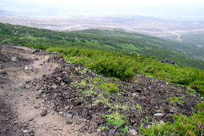 道
