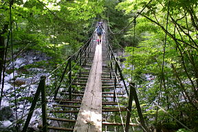 聖沢吊橋