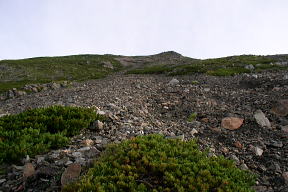 登山道