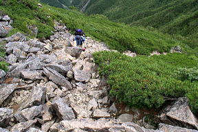 登山道