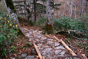 登山道