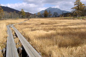 尾瀬ヶ原