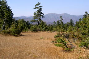 平ヶ岳