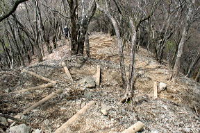 登山道