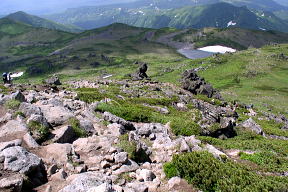 登山道