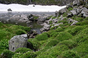 登山道