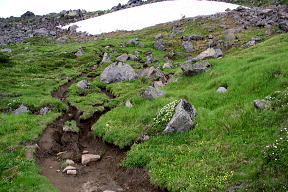 登山道