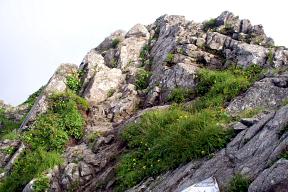岩場