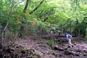 登山道