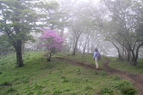 登山道