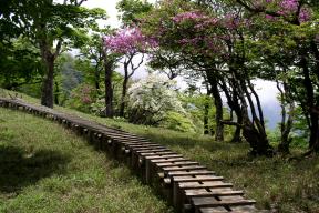 登山道