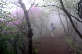 登山道