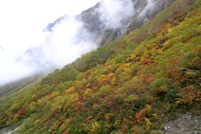 紅葉