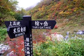 分岐