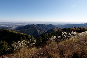 平野