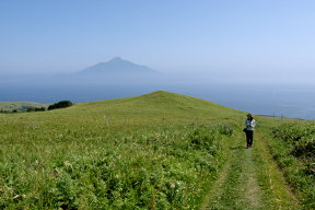 道