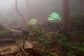 高塚小屋のテント場