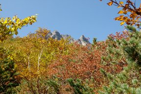 紅葉