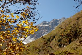 山