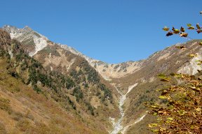 山