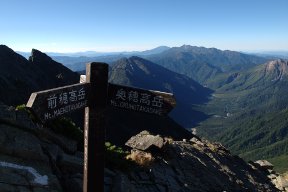 分岐