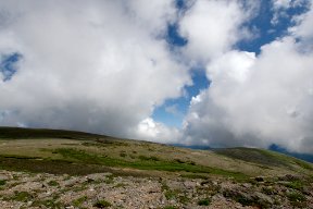 小泉岳