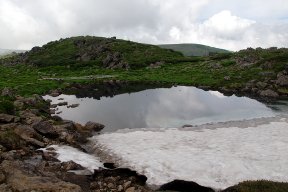 天沼