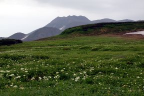 山