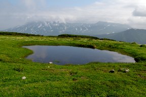 ポン沼