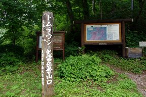登山口