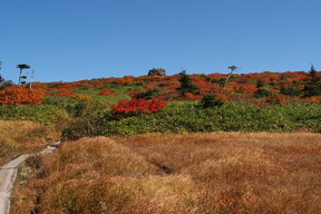 宿岩