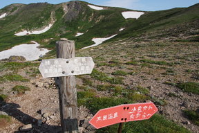 分岐
