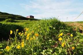 小屋
