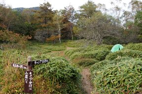 夜叉神峠のテント場