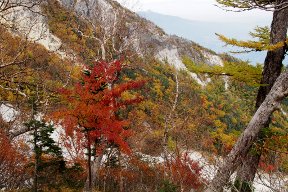 紅葉