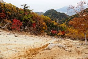 道