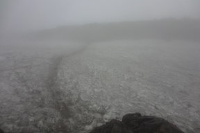 残雪